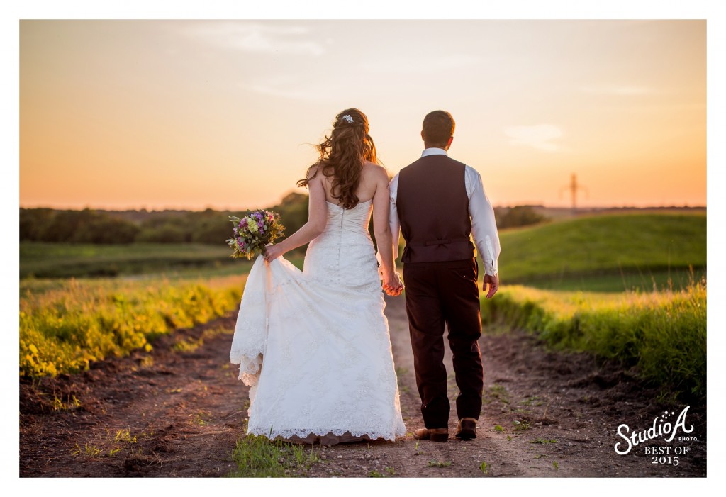 The Best Images of 2015 Minnesota Wedding Photographer (1)