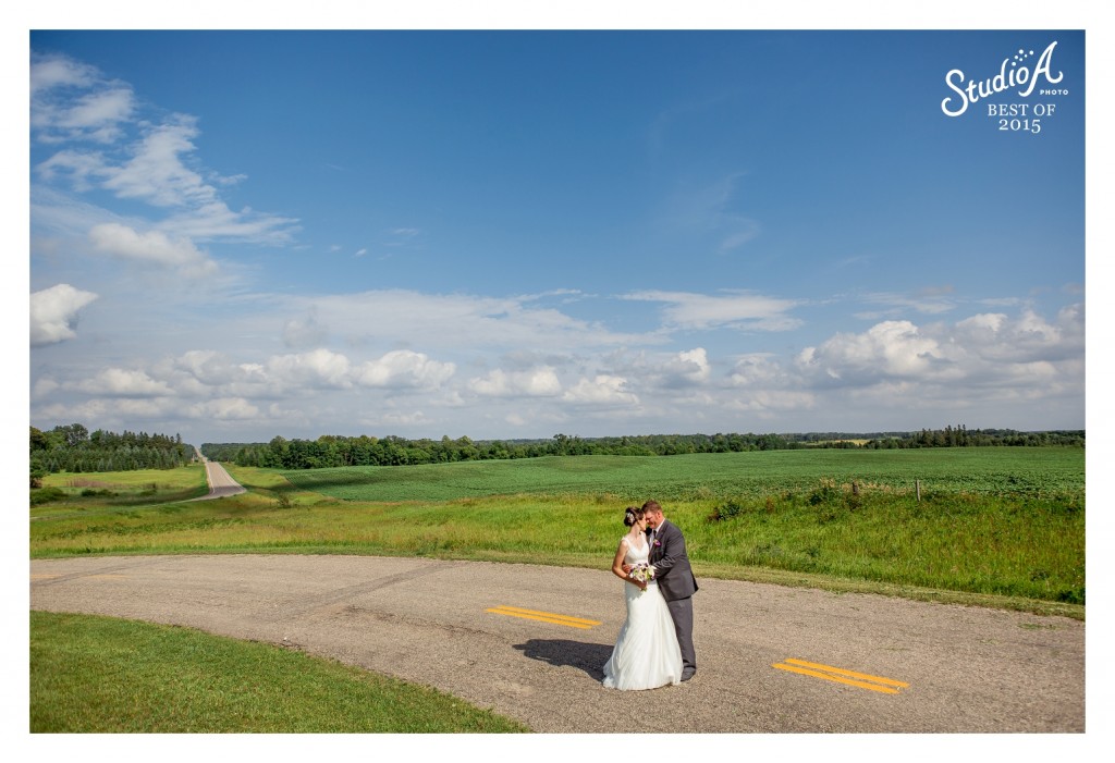 The Best Images of 2015 Minnesota Wedding Photographer (55)