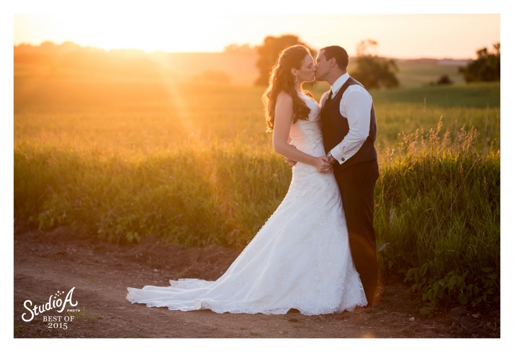 The Best Images of 2015 Minnesota Wedding Photographer (63)