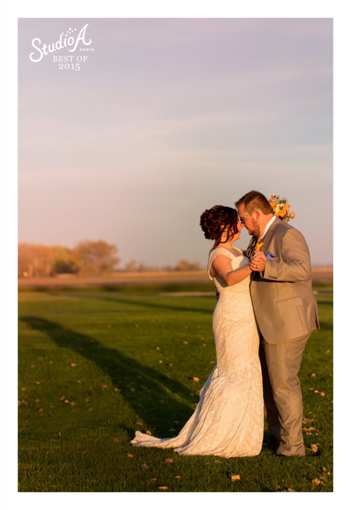 The Best Images of 2015 Minnesota Wedding Photographer (74)