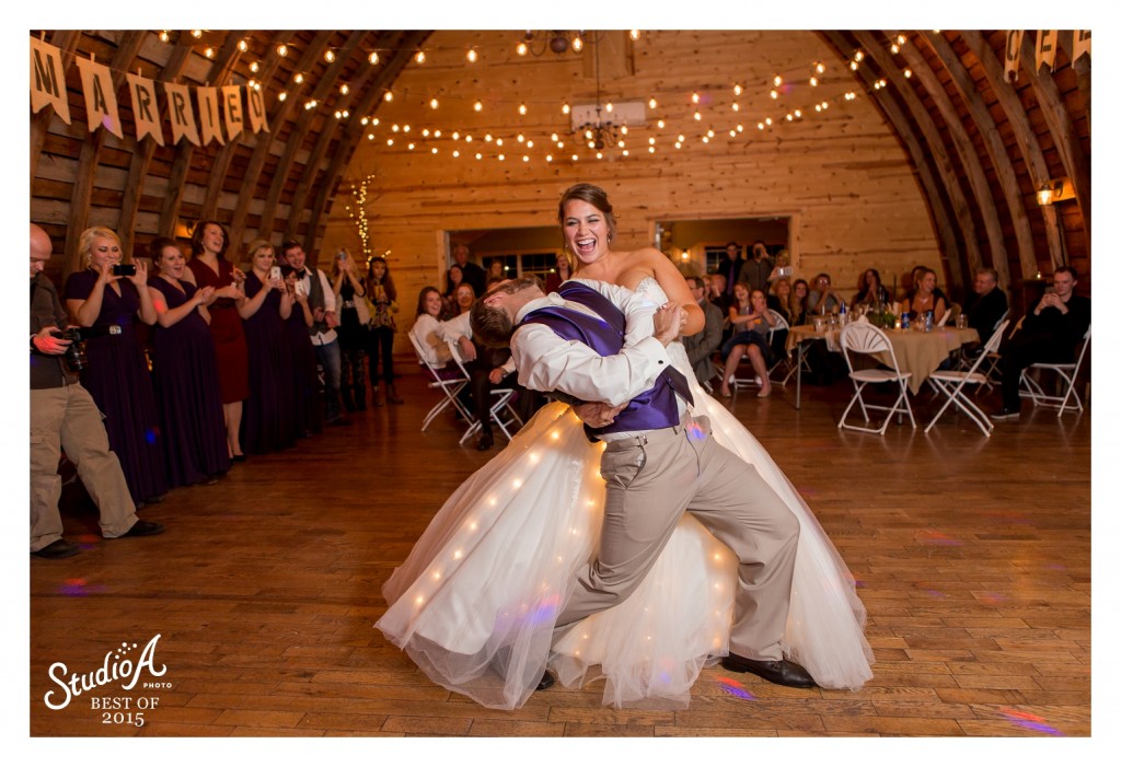 The Best Images of 2015 Minnesota Wedding Photographer (79)