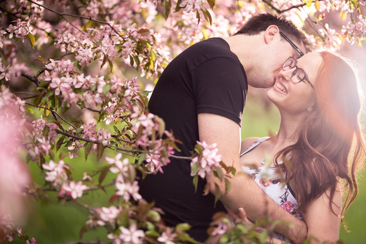 Fargo Engagement Photographers Spring Orchard Apple Blossoms