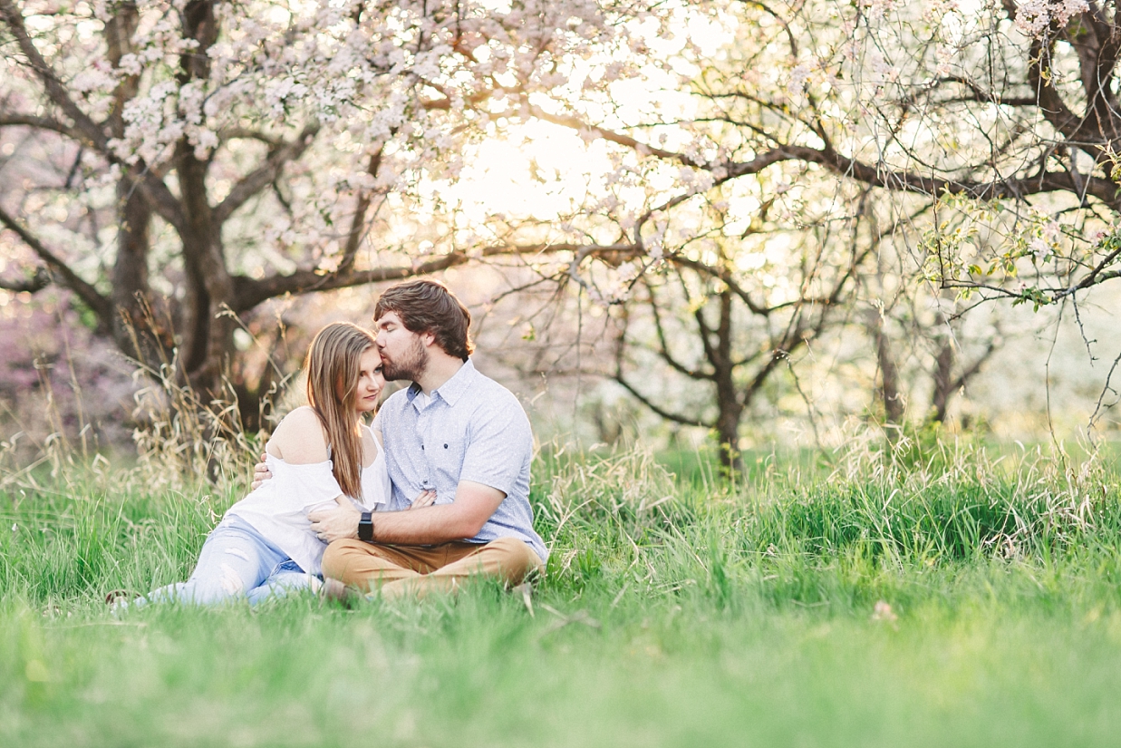 Apple Orchard Blossoms Engagement Photos in Fargo